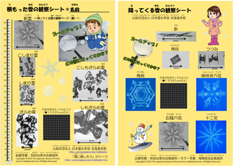 雪の観察シート_画像