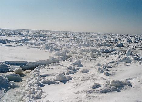 �ʐ^�^�C�g��